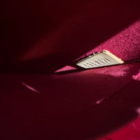 Louis Vuitton Vernis Alma