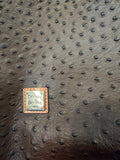 Dooney & Bourke Ostrich Twist Strap Hobo Bag